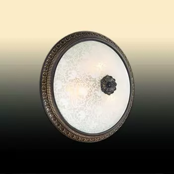 Настенно потолочный светильник Odeon Light Maipa 2587/1W