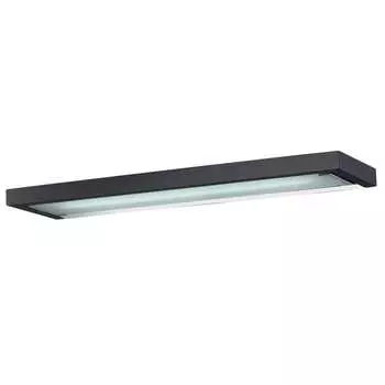 Настенно потолочный светильник Odeon Light SELVE 2031/1W
