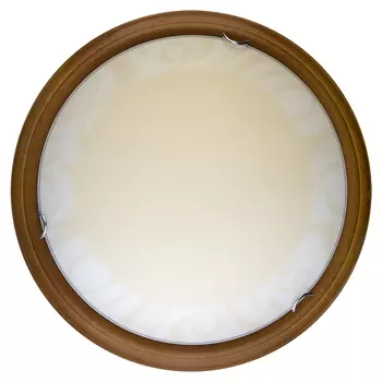 Настенно потолочный светильник Toplight Ginger TL9620Y-00OA