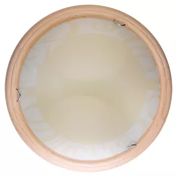 Настенно потолочный светильник Toplight Ginger TL9620Y-00PN