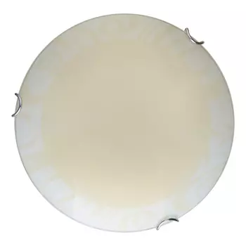 Настенно потолочный светильник Toplight Ginger TL9621Y-00WH