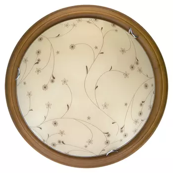 Настенно потолочный светильник Toplight Karissa TL9650Y-00OA