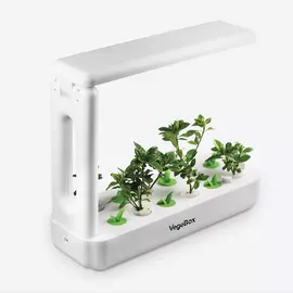 Кухонная Садовая ферма VegeBox K-Box