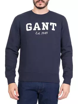 Мужская толстовка Gant, синяя