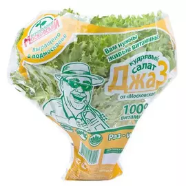 Салат Московский Саланова кудрявый