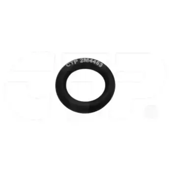 КОЛЬЦО ПОМПЫ CAT МАЛ CTP 2M4453
