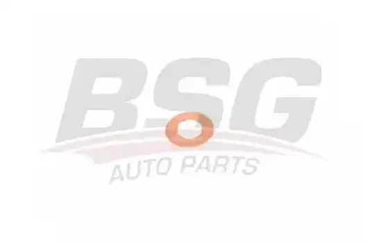 Кольцо уплотнительное форсунки BSG BSG 30-995-048
