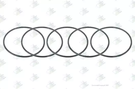 Кольцо уплотнительное автомобильное EURORICAMBI 95531553