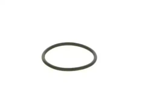 Кольцо уплотнительное автомобильное BOSCH F 00R 0P0 166