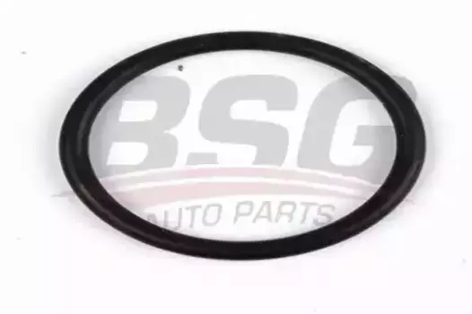 Кольцо уплотнительное автомобильное BSG BSG 30-230-042