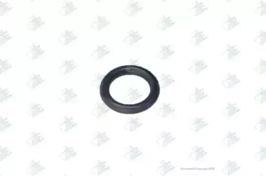 Кольцо уплотнительное автомобильное EURORICAMBI 95531943