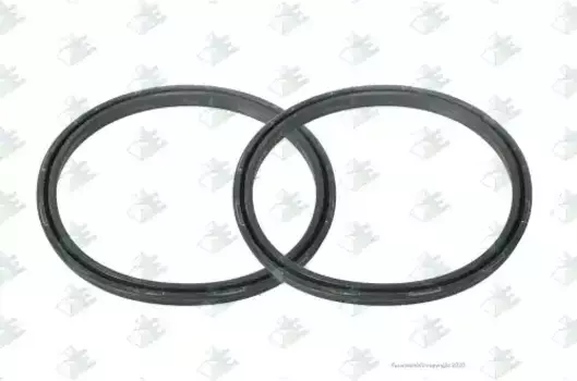 Кольцо уплотнительное автомобильное EURORICAMBI 95532408