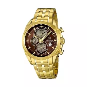 Наручные часы Festina F16656/4