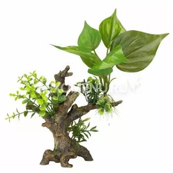 AQUA DELLA Растение для аквариумов "Florascape 6", 14.5x9x16.5см (Бельгия)