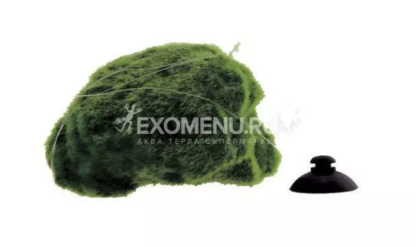 ArtUniq Floating Mossy Islets 2S - Декоративный набор из пластика "Плавающие острова со мхом", из 2х частей, 13x10,5x14,5 см