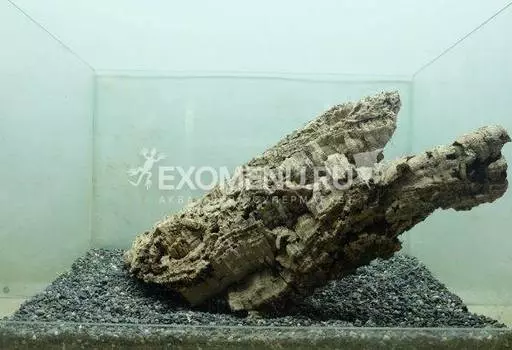 DECOTOP Estela XXXL – Пластина из коры пробкового дуба, 55-70 см