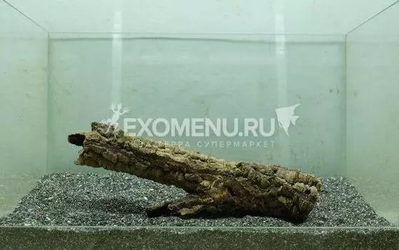 DECOTOP Estela XXXS - Цилиндр из коры пробкового дуба, длина 25 см, D 4-6 см
