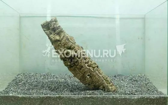 DECOTOP Estela XXXXS - Цилиндр из коры пробкового дуба, длина 20 см, D 2-4 см