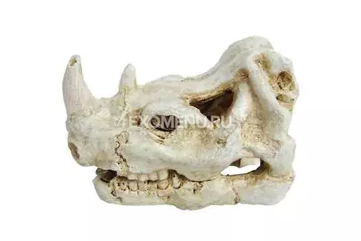 Декорация пластиковая PRIME Череп носорога 7.5X5X5см PR-BM169-17