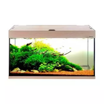 Аквариум AquaPlus 200 (1000х400х560-6/8), 185л. прямоугольный со светильником LUX 2х30Вт. выбеленный дуб