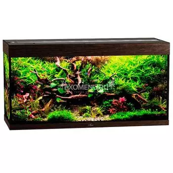Аквариум Biodesign АТОЛЛ 350 (венге) без свет-ка с покр. крышками, стекло Pilkington Optifloat™ (полированная еврокромка), 10-12 мм 340 л, 126*51*65 см, шторка д/кормления (шт.)