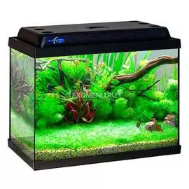 Аквариум Biodesign КЛАССИК 50 (черный), 55 л, 50х29х45 см, прямоугольный, свет, оборудование