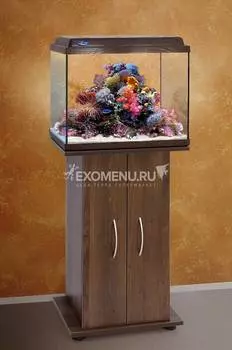 Аквариум Biodesign КЛАССИК 50, золотой орех, прямоугольный, светильник LED, 55 л, 50х29х45 см