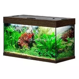 Аквариум Biodesign РИФ 125 (венге) без свет-ка с покр. крышками, стекло Pilkington Optifloat™ (полированная еврокромка), 5-8 мм