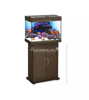Аквариум Biodesign РИФ 60 60 л, венге, 56х32х44 см