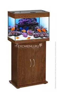 Аквариум Biodesign РИФ 60, 60 л, золотой орех, 56х32х44 см