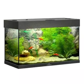 Аквариум Biodesign РИФ 80, 82 л, черный, 71х33х46 см