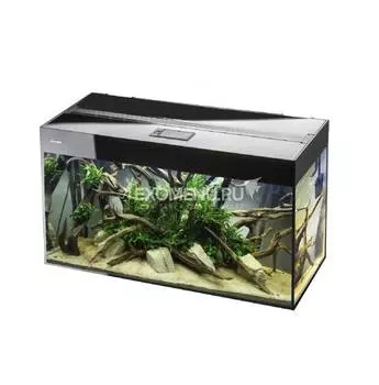 Аквариум GLOSSY 80 AQUAEL (80х35х54см.), 125л., черный, съемный светодиодный модуль RETRO FIT SUNNY 10 W / 6 500 K 2 шт.