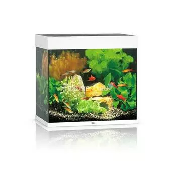 Аквариум Juwel LIDO 120 LED, 120л белый, 61х41х58см 2х12W Фильтр Bioflow M, Нагр100W ТЕСТ