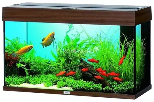 Аквариум Juwel RIO 125 LED125л темное дерево (Dark Wood) 81х36х50см 2х14W Фильтр Bioflow М, Нагр100W