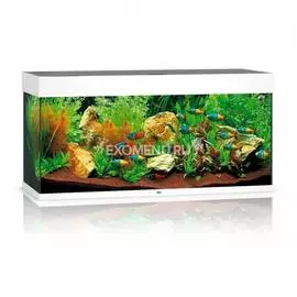 Аквариум Juwel RIO 125 LED 125л белый (White) 81х36х50см 2х14W Фильтр Bioflow М, Нагр100W