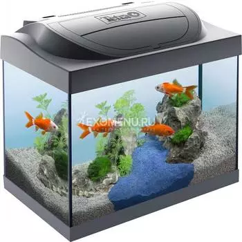 !Аквариум Starter Line LED 30 л Goldfish