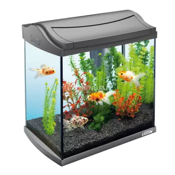 !Аквариум Tetra AquaArt 30l LED Goldfish