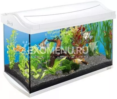 !Аквариум Tetra AquaArt 60l Tropical БЕЛЫЙ