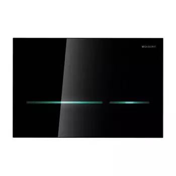 Кнопка для инсталляции Geberit Sigma 80 116.090.SG.1 черный
