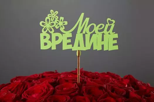 Топпер «Моей вредине»