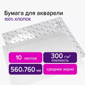 Бумага для акварели 10 листов, 560х760 мм, 300г/м - BRAUBERG ART, белый, BRAUBERG PREMIERE (113236)