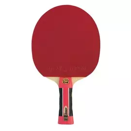 Ракетка для настольного тенниса Atemi PRO 2000 AN