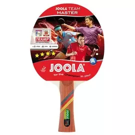 Ракетка для настольного тенниса Joola Team Master 52001
