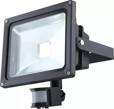 Прожектор Globo Projecteur 34116S