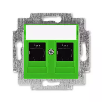 Розетка телефонная ABB Levit двойная 2хRJ45 категория 5e зелёный 5014H-A51018 67W 2CHH295118A6067