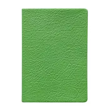 Ежедневник Infolio Turtle, зеленый, 140х200 мм, 192 стр, интегральный переплет