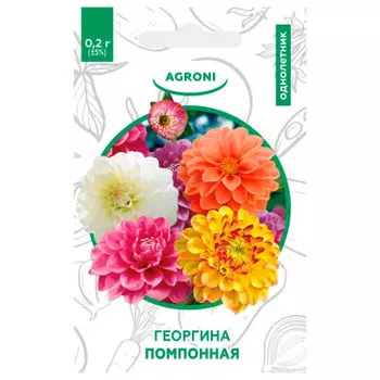 Цветы георгина помпонная летний микс 0.2 г агрони xs