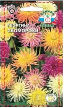 Цветы георгина скоморохи высокорослая кактусовидная смесь 0.1 г
