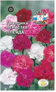 Цветы гвоздика плеяда перистая смесь 0.2 г