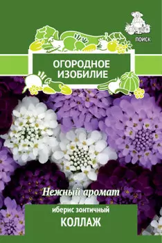 Цветы иберис зонтичный коллаж 0.5 г огородное изобилие 715091